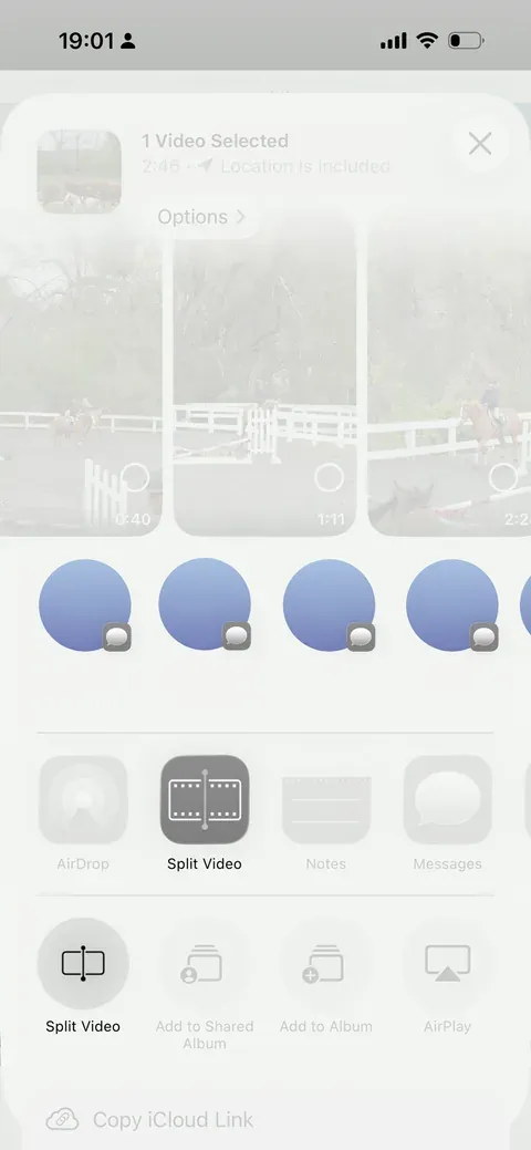 Split Video launched from the iOS share sheet